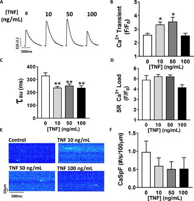 Gender-Dependent Alteration of Ca2+ and TNFα Signaling in db/db Mice, an Obesity-Linked Type 2 Diabetic Model
